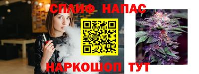 прущие грибы Комсомольск-на-Амуре
