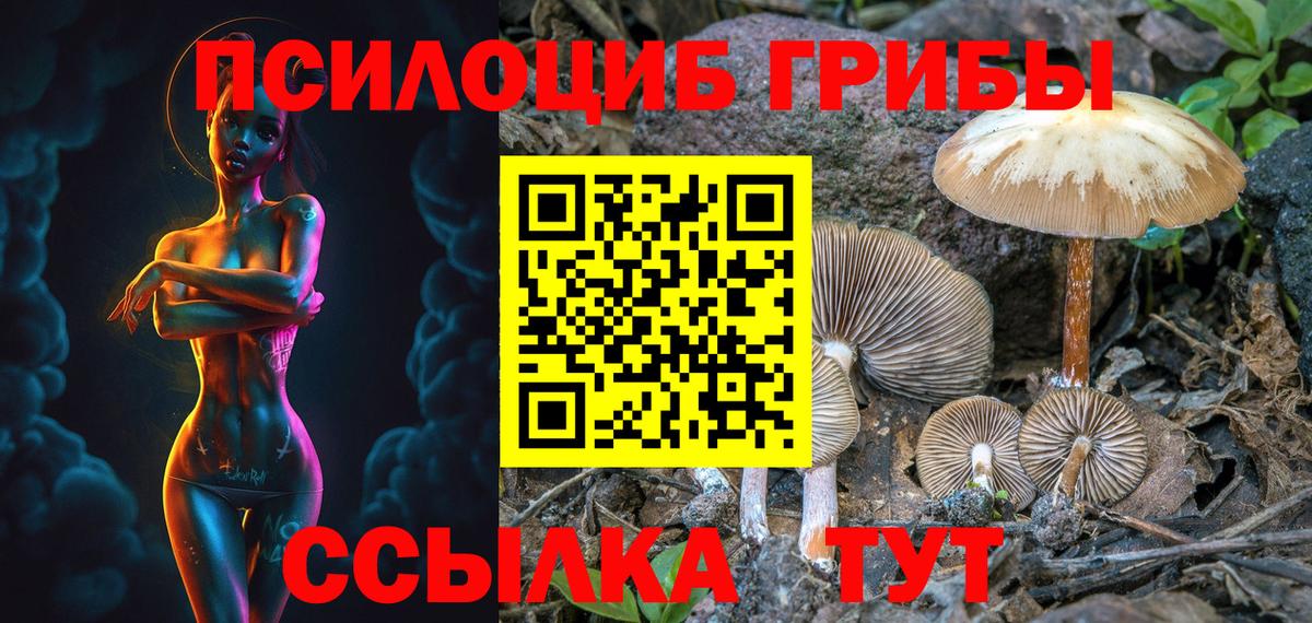 Галлюциногенные грибы Psilocybe Чита